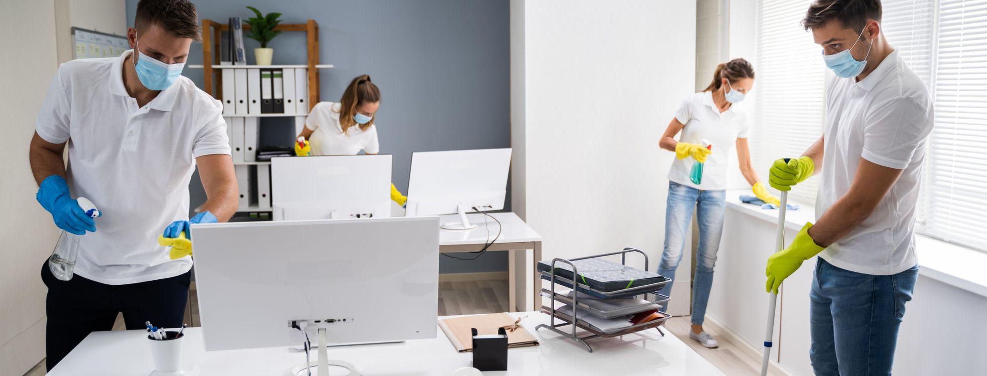 Ozzy Carpet Cleaning