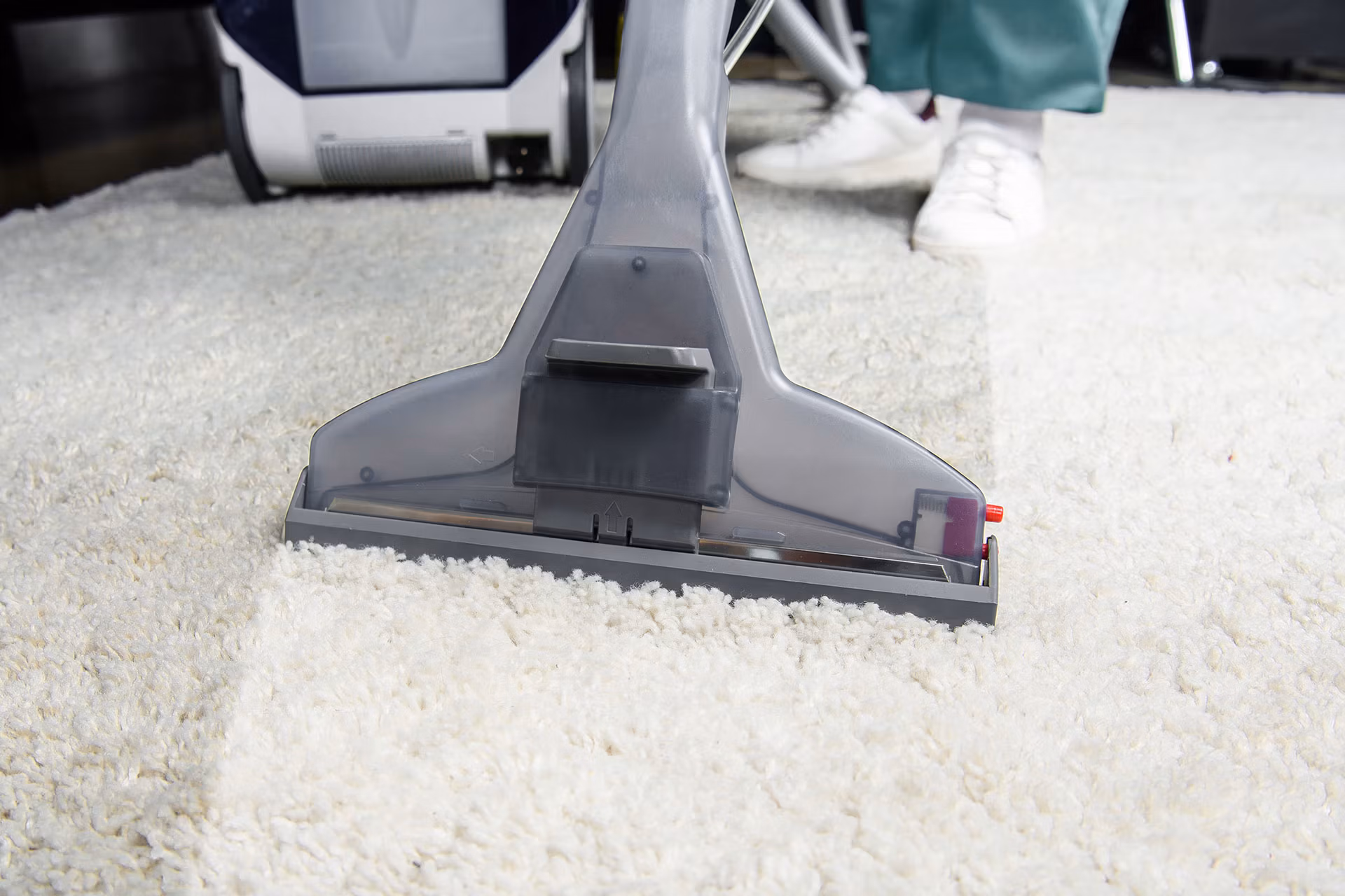 Professional Ozzy Carpet cleaning - Request a quote