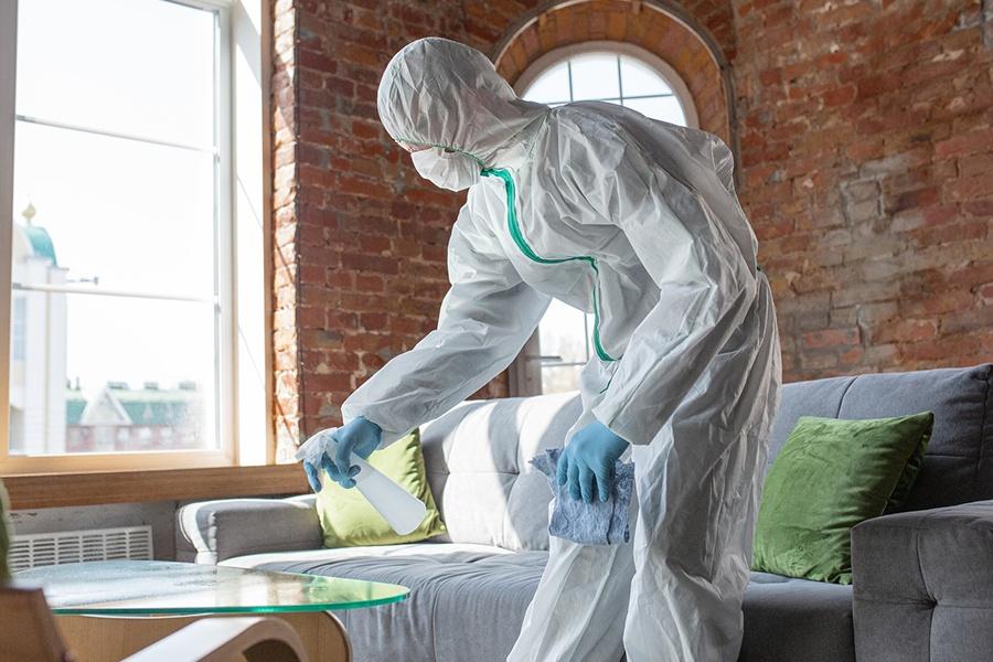 Professional Ozzy Carpet cleaning - Request a quote