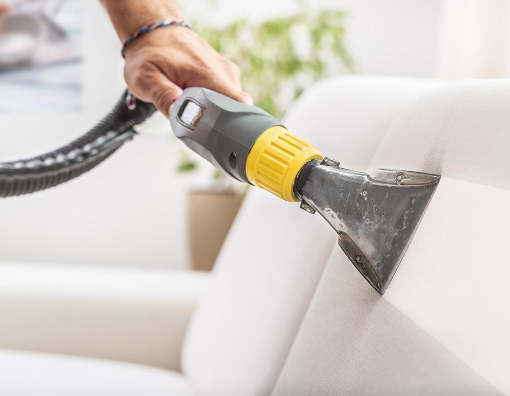 Professional upholstery cleaning